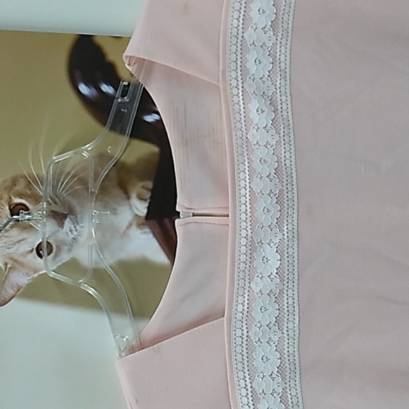 Vintage pink plus size dress - Picture 3 of 5